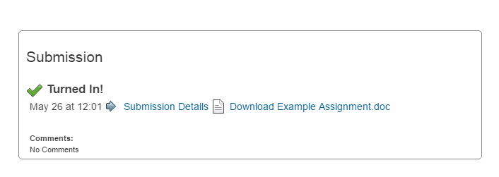 canvas-assignment-student-4