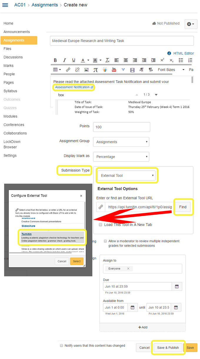 canvas--turnitin-assignment-1d