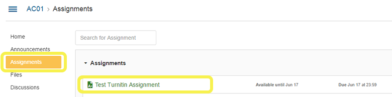canvas-turnitin-assignment-student-1a
